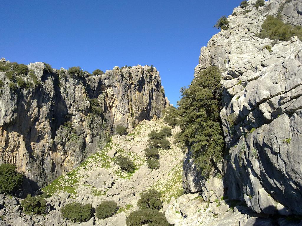 拉帕尔摩萨酒店 Alcalá de los Gazules 外观 照片